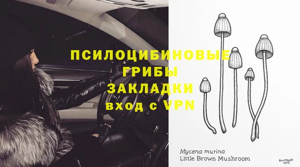 круглые Богданович