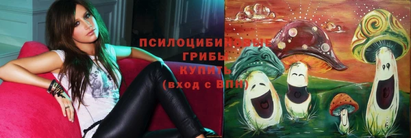 бутират Бугульма