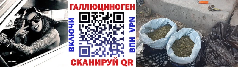 Псилоцибиновые грибы прущие грибы  mega tor  Завитинск 